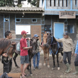 Melihat Kampung Koboi Tugu Selatan, Transformasi Desa Berbasis Potensi Lokal dalam Program Desa BRILiaN