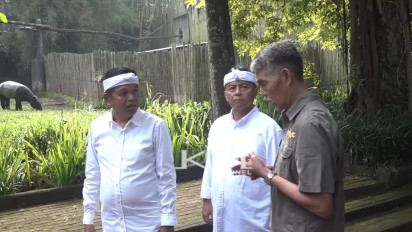 Semua Bahagia! Dedi Mulyadi Ungkap Tunggakan Gaji Petugas Kebun Binatang Bandung Siap Dibayar: Biar Semangat Lagi!