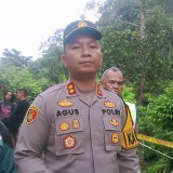 Mobil Terjun ke Jurang di Perbatasan Sumut-Aceh, Pasangan Suami Istri Hilang