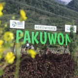 Lewat Program Desa BRILiaN, Begini Contoh Transformasi Ekonomi Desa Berbasis Potensi Lokal di Jawa Barat