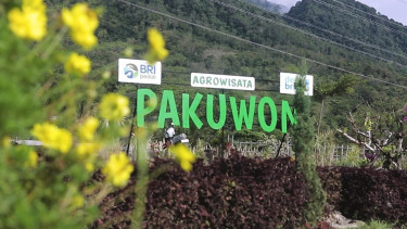 Lewat Program Desa BRILiaN, Begini Contoh Transformasi Ekonomi Desa Berbasis Potensi Lokal di Jawa Barat