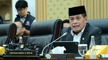 Tak Hanya Apresiasi, DPR Soroti Kinerja MIND ID, Tekankan Hilirisasi Mineral