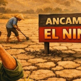 Memasuki Musim Kemarau Praktisi Kesehatan Ingatkan Fenomena Godzilla El Nino, Apakah Berbahaya untuk Kesehatan?