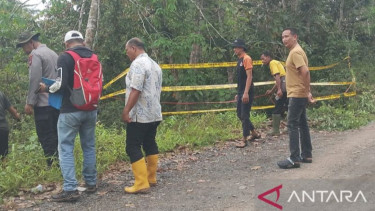 Jalan Penghubung Antar Desa di Ogan Komering Ulu Nyaris Putus Akibat Longsor