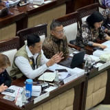 Stok Beras Melimpah, Bos Bulog Minta Warga Tak Panik