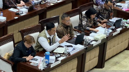 Stok Beras Melimpah, Bos Bulog Minta Warga Tak Panik