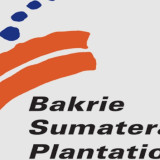 UNSP Bukukan Laba Operasi Rp 388 Miliar