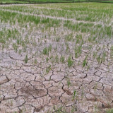 Doa Meminta Hujan saat Musim Kemarau