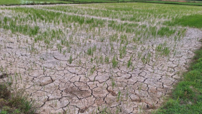 Doa Meminta Hujan saat Musim Kemarau