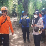 Penggembala Sapi Hilang di Hutan Kawasan Taman Nasional Baluran, Medan Pencarian Cukup Sulit