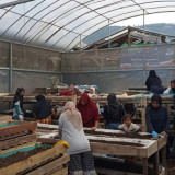 Sinergi Ultra Mikro BRI, Nasabah PNM Mekaar di Bandung Barat Ubah Limbah Menjadi Sumber Penghidupan