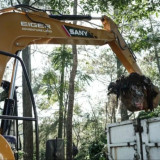 Upaya Jaga Kelestarian Lingkungan, Pemkab Bogor dan Eiger Adventure Land Angkut Sampah di Kawasan Puncak