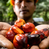 Riset Sawit Didorong Lebih Inovatif, Dukungan BPDP Dinilai Kunci Kemajuan Industri