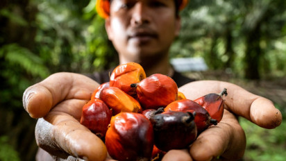 Riset Sawit Didorong Lebih Inovatif, Dukungan BPDP Dinilai Kunci Kemajuan Industri