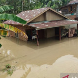 Banjir Rendam Hampir Seluruh Kota Bengkulu, 2.688 KK Terdampak
