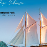 Layanan nomor #1 Sewa Kapal dengan Phinisi Trip Indonesia di Taman Nasional Komodo