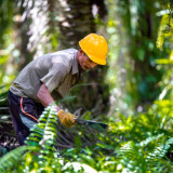 BPDP Didorong Perkuat SDM Sawit, Apkasindo: Kunci Utama Daya Saing Industri Nasional