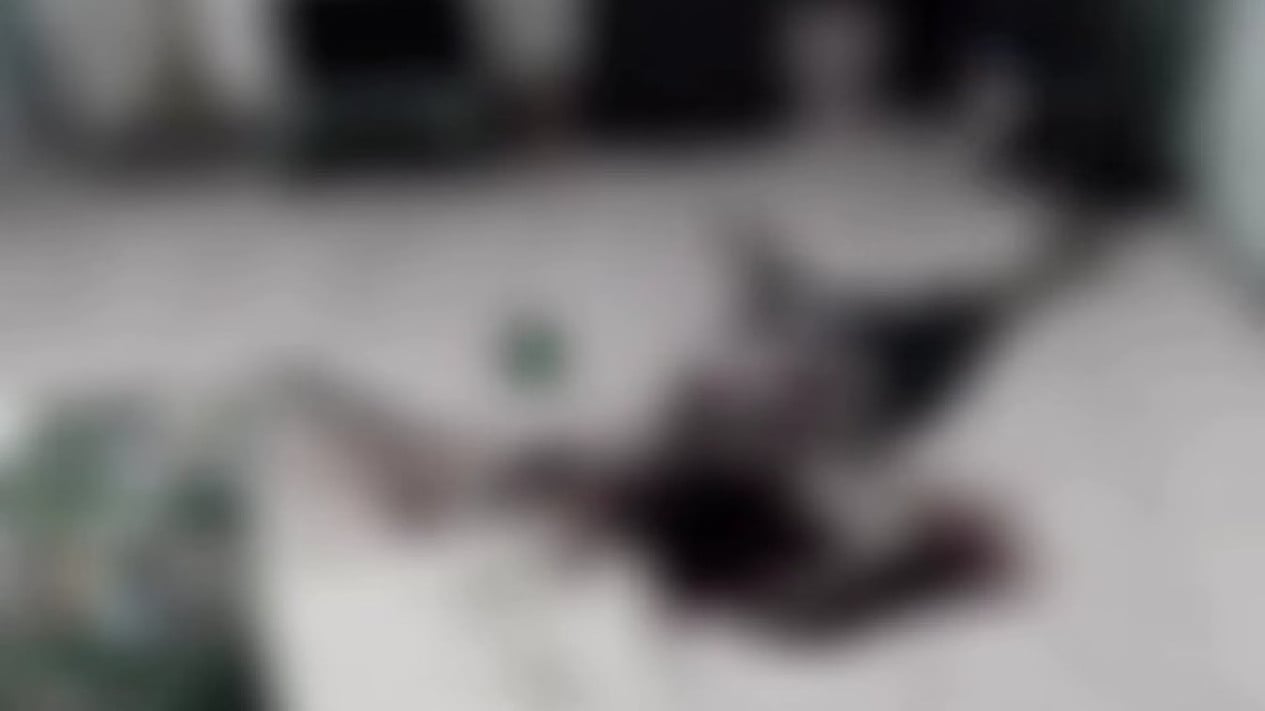 Geger! Wanita Ditemukan Tewas Bersimbah Darah di Cibitung, Diduga Digorok
            - galeri foto