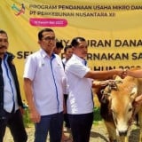 PTPN I Regional 5 Surabaya Gelontorkan Rp30,43 Miliar untuk UMKM dan Peternak