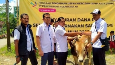 PTPN I Regional 5 Surabaya Gelontorkan Rp30,43 Miliar untuk UMKM dan Peternak