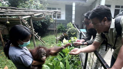 Bandung Zoo Jalani Pemeriksaan Kesehatan Satwa Bersama Vantara India, Pemkot Bandung Targetkan Standar Animal Welfare Internasional