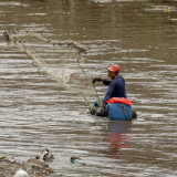 Tak Cuma di Kali Depan Plaza Indonesia, Pramono Minta Ikan Sapu-Sapu di Seluruh Jakarta Dimusnahkan