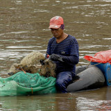 Berita Foto: Warga Tangkap Ikan Sapu-Sapu, Potensi dan Risiko Jadi Sorotan