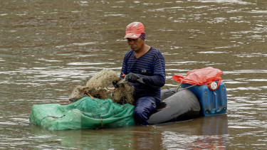 Berita Foto: Warga Tangkap Ikan Sapu-Sapu, Potensi dan Risiko Jadi Sorotan