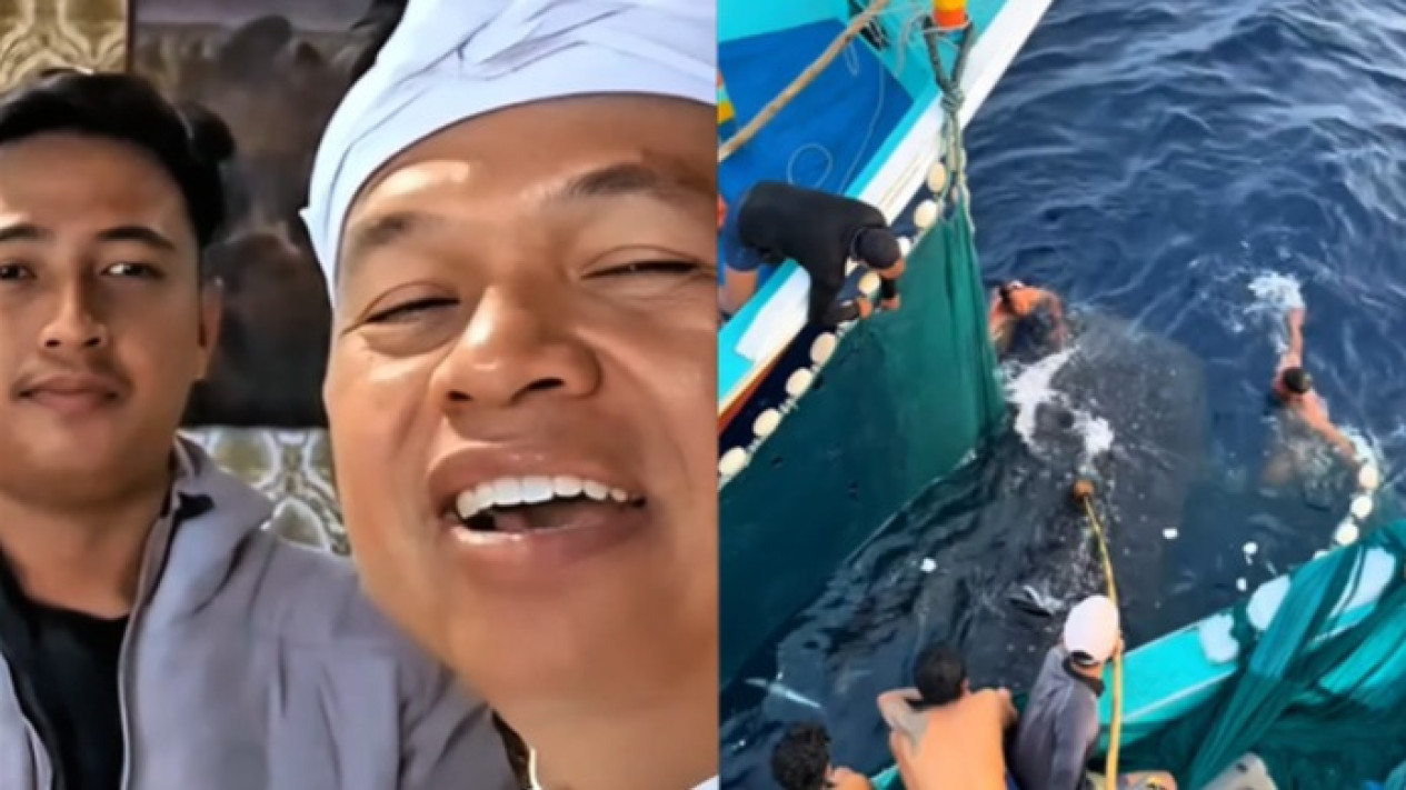 Dedi Mulyadi Undang Nelayan Malang yang Selamatkan Hiu Paus, Ucapkan Terima Kasih atas Aksi Heroik Mereka
            - galeri foto