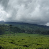 Gunung Dempo Erupsi, Kolom Abu Mencapai 3.500 Meter, Warga Diminta Waspada