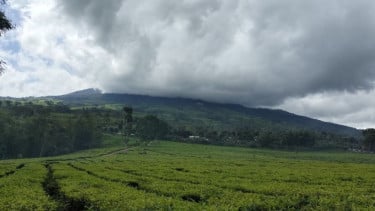 Gunung Dempo Erupsi, Kolom Abu Mencapai 3.500 Meter, Warga Diminta Waspada