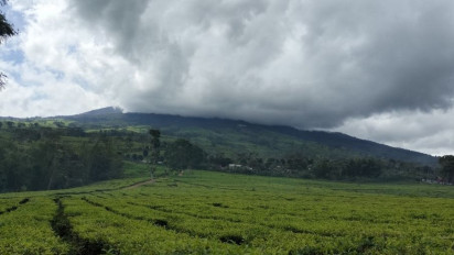 Gunung Dempo Erupsi, Kolom Abu Mencapai 3.500 Meter, Warga Diminta Waspada