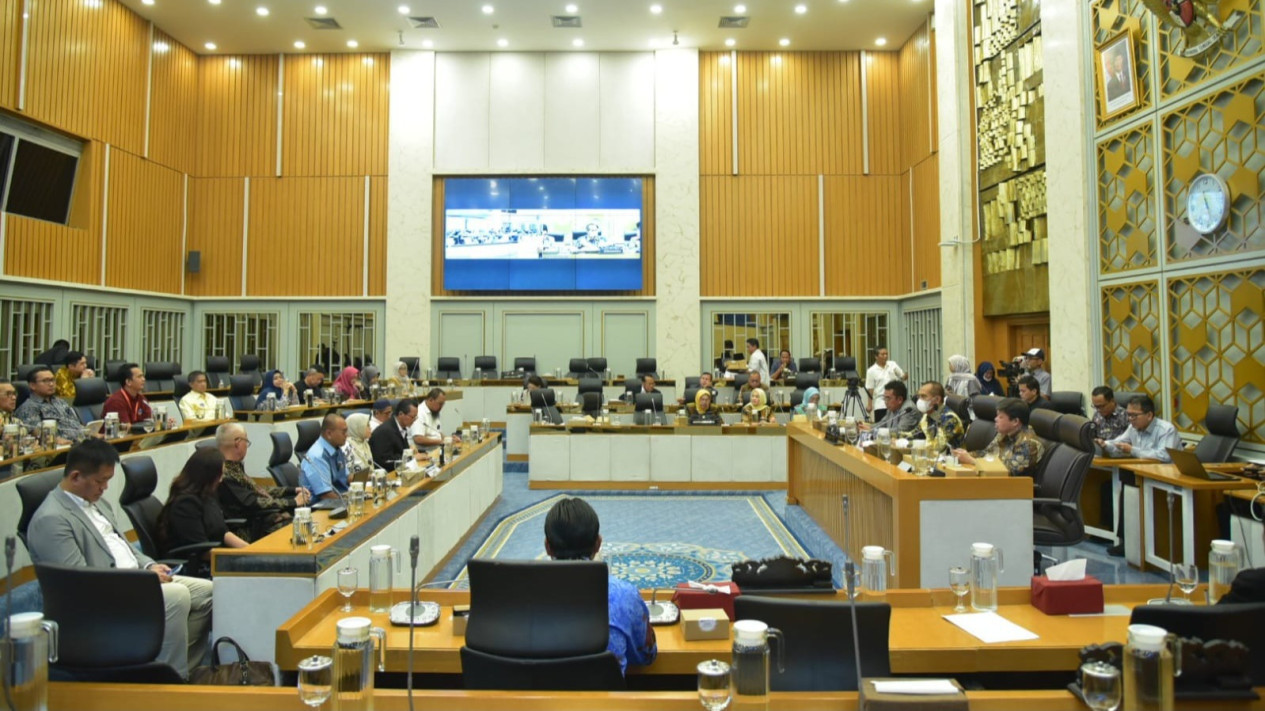 RDPU di DPR RI, MAI Soroti Persoalan Sinkronisasi Data
            - galeri foto