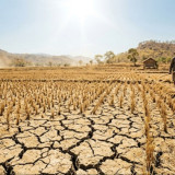 Waspada Warga Jabar, Selain Bogor BMKG Prediksi Wilayah Jawa Barat akan Alami Musim Kemarau Lebih Panjang