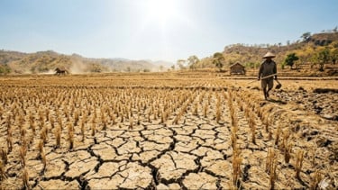Waspada Warga Jabar, Selain Bogor BMKG Prediksi Wilayah Jawa Barat akan Alami Musim Kemarau Lebih Panjang