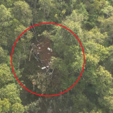 8 Korban Tewas Helikopter Jatuh di Sekadau Berhasil di Evakuasi, Termasuk WN Malaysia