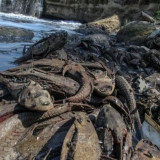 Digelar Jumat Besok, Ini Daftar 5 Lokasi Operasi Penangkapan Ikan Sapu-sapu