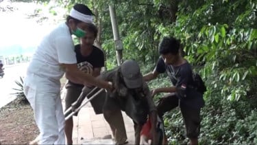 Dulu Marah dan Tolak Bantuan Dedi Mulyadi, Kini Pria yang Merangkak di Trotoar Malah Cari KDM, Ada Apa?