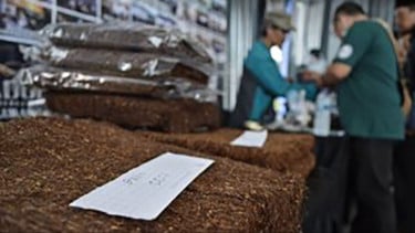 Petani Tembakau Madura Sampaikan Solusi Tritura Guna Merespons Persoalan Rokok Ilegal