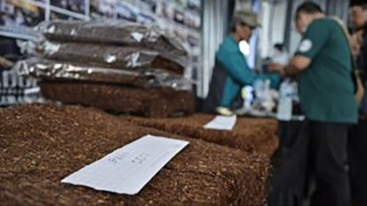 Petani Tembakau Madura Sampaikan Solusi Tritura Guna Merespons Persoalan Rokok Ilegal
