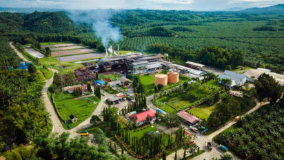 Tingkatkan Peran di Pertumbuhan Ekonomi, GAPKI Singgung Soal Kontribusi Industri Kelapa Sawit