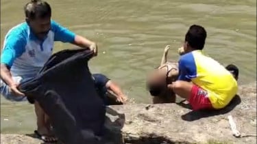 Hilang Sejak Kemarin Sore, Bocah Lima Tahun di Situbondo Ditemukan Tewas Tersangkut Batu di Sungai