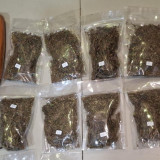 Polda Metro Gagalkan Peredaran Narkoba Ganja di Kemayoran, Satu Pelaku Ditangkap!