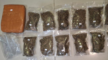 Polda Metro Gagalkan Peredaran Narkoba Ganja di Kemayoran, Satu Pelaku Ditangkap!