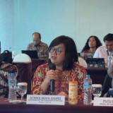 Konflik Papua Memanas, Komnas HAM Soroti Hak Dasar Warga, Minta Dialog Damai