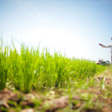 Ekspor Pertanian Melonjak 28 Persen, Begini Sinyal Kuat Ketahanan Pangan Indonesia