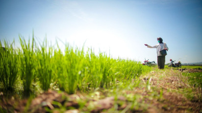 Ekspor Pertanian Melonjak 28 Persen, Begini Sinyal Kuat Ketahanan Pangan Indonesia