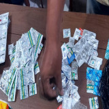 Berkedok Toko Ikan Hias di Jakarta Pusat, Polisi Bongkar Penjualan Obat Terlarang, Satu Pelaku Ditangkap