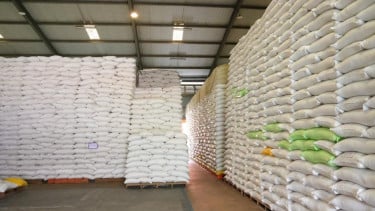 Stok Beras RI Tembus 5 Juta Ton, Wamentan: Rekor Tertinggi Sepanjang Sejarah