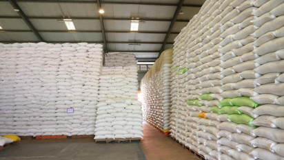 Stok Beras RI Tembus 5 Juta Ton, Wamentan: Rekor Tertinggi Sepanjang Sejarah